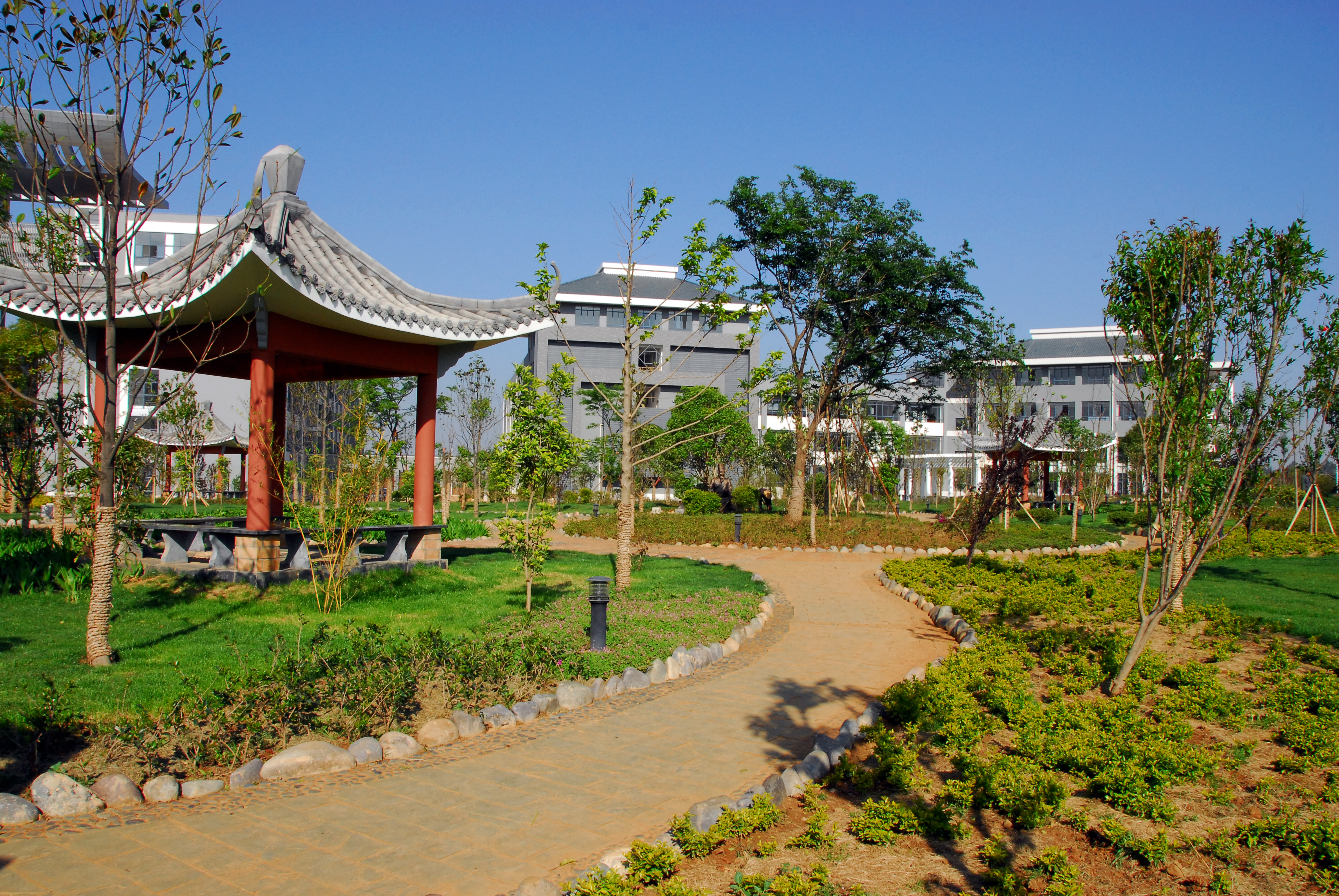 校园风景